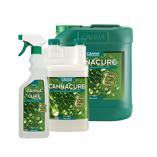 Canna Cannacure