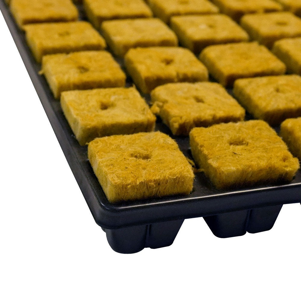 Cultiwool Rockwool Cubes — close-up of the 35mm propagation cubes in their tray
