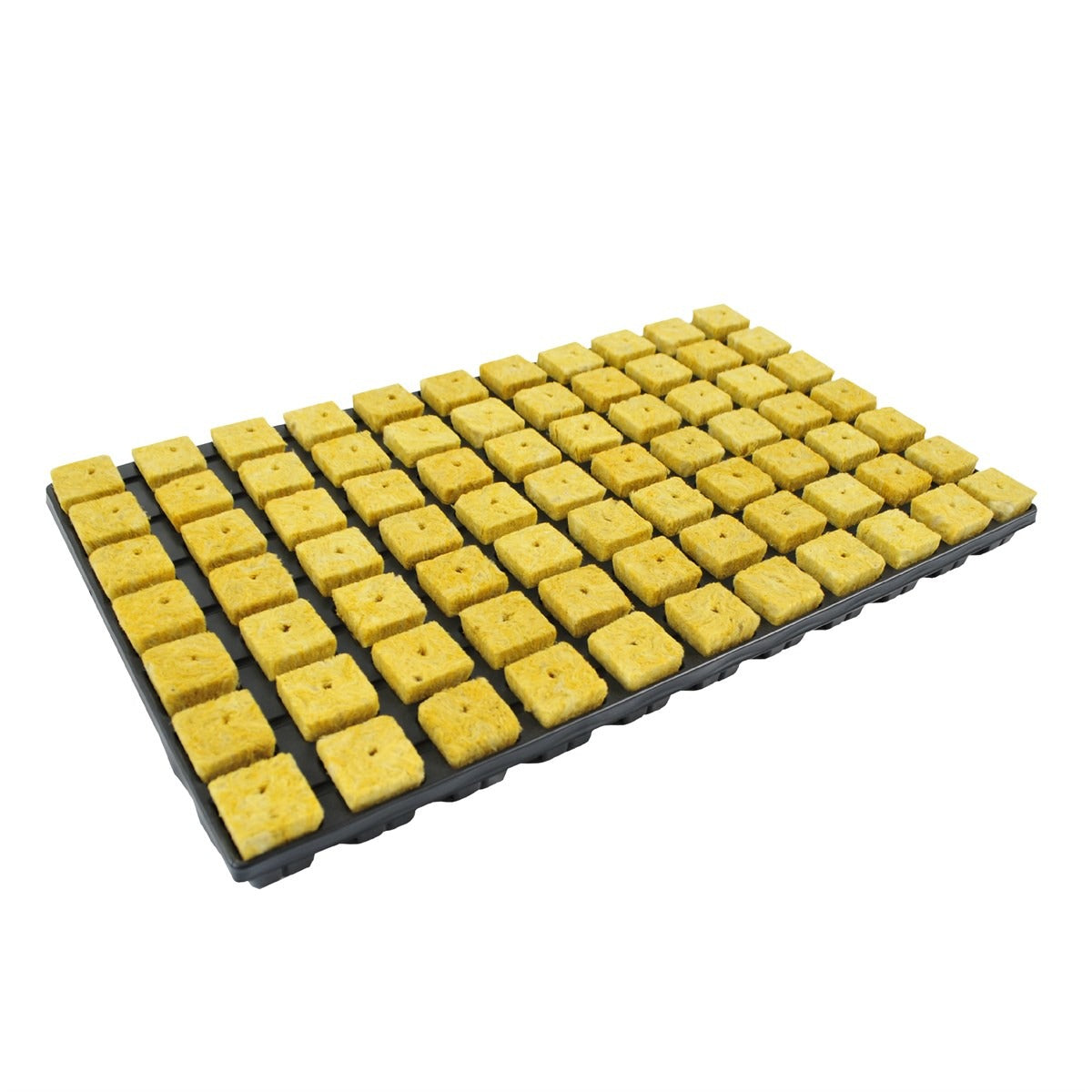 Cultiwool Rockwool Cubes — Large Cube Tray (77 x 35mm) - Box of 18