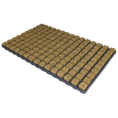 Cultiwool Rockwool Cubes — Small Cube Tray (150 x 25mm) - Box of 18