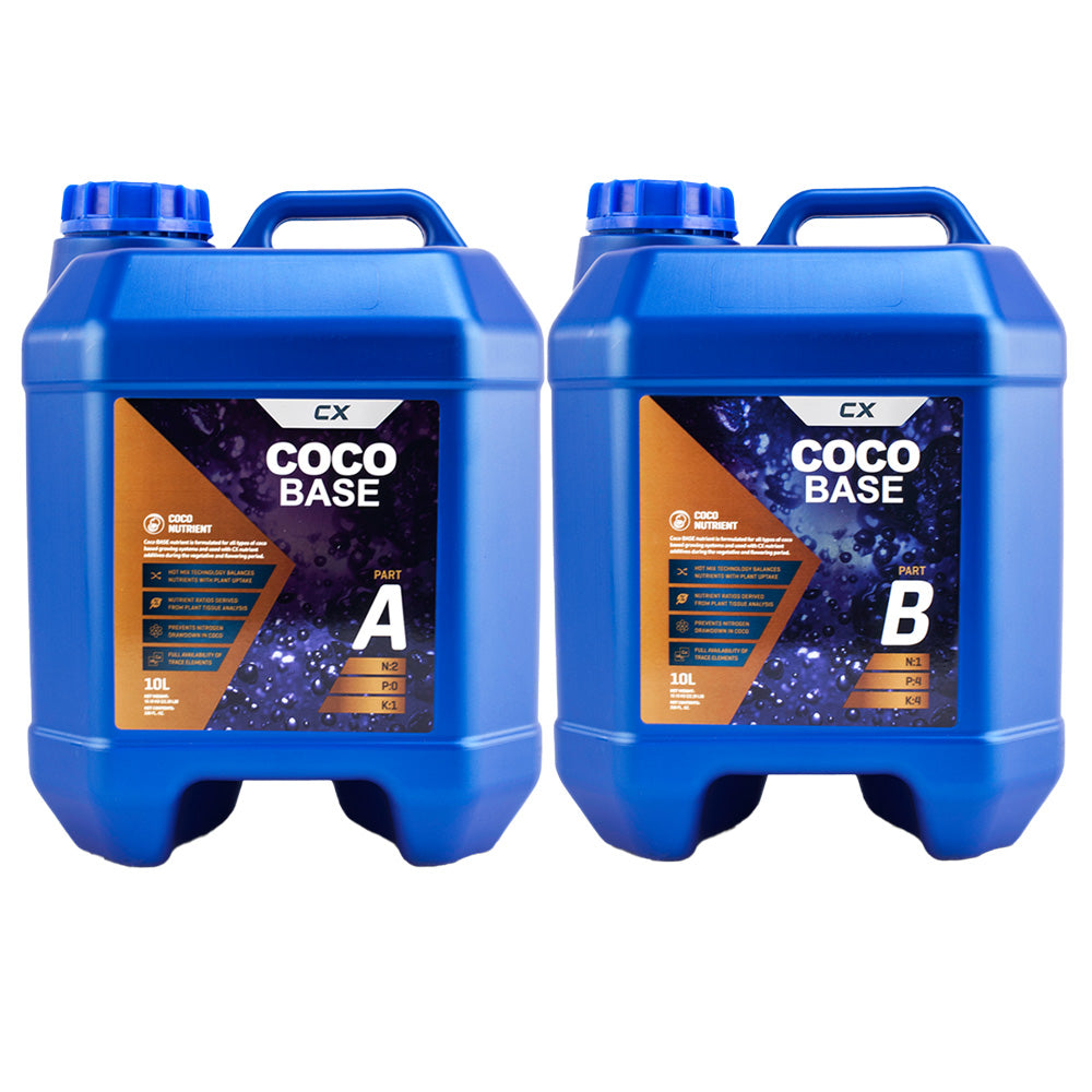 CX Coco Base A+B — 10L