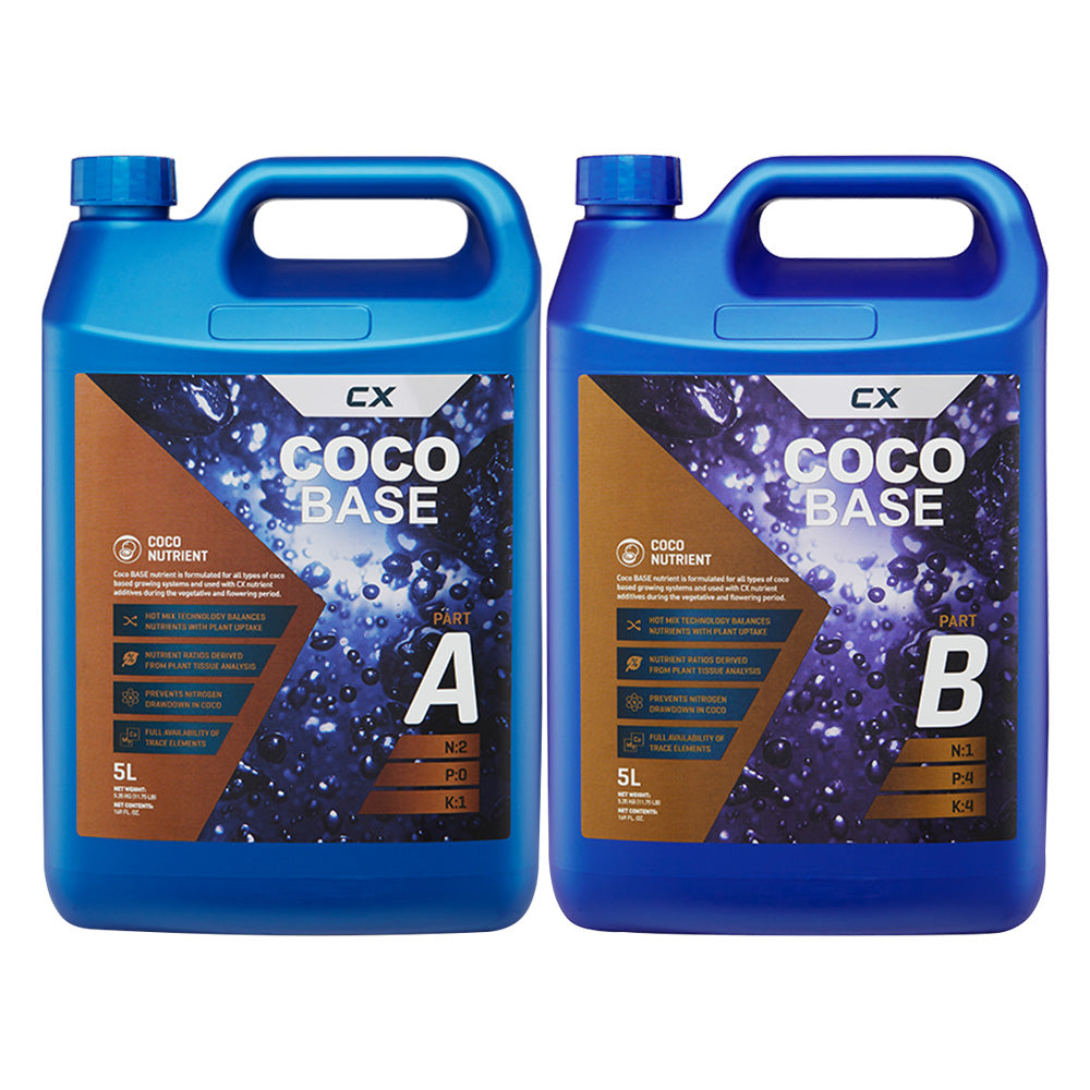 CX COCO BASE A+B — 5L