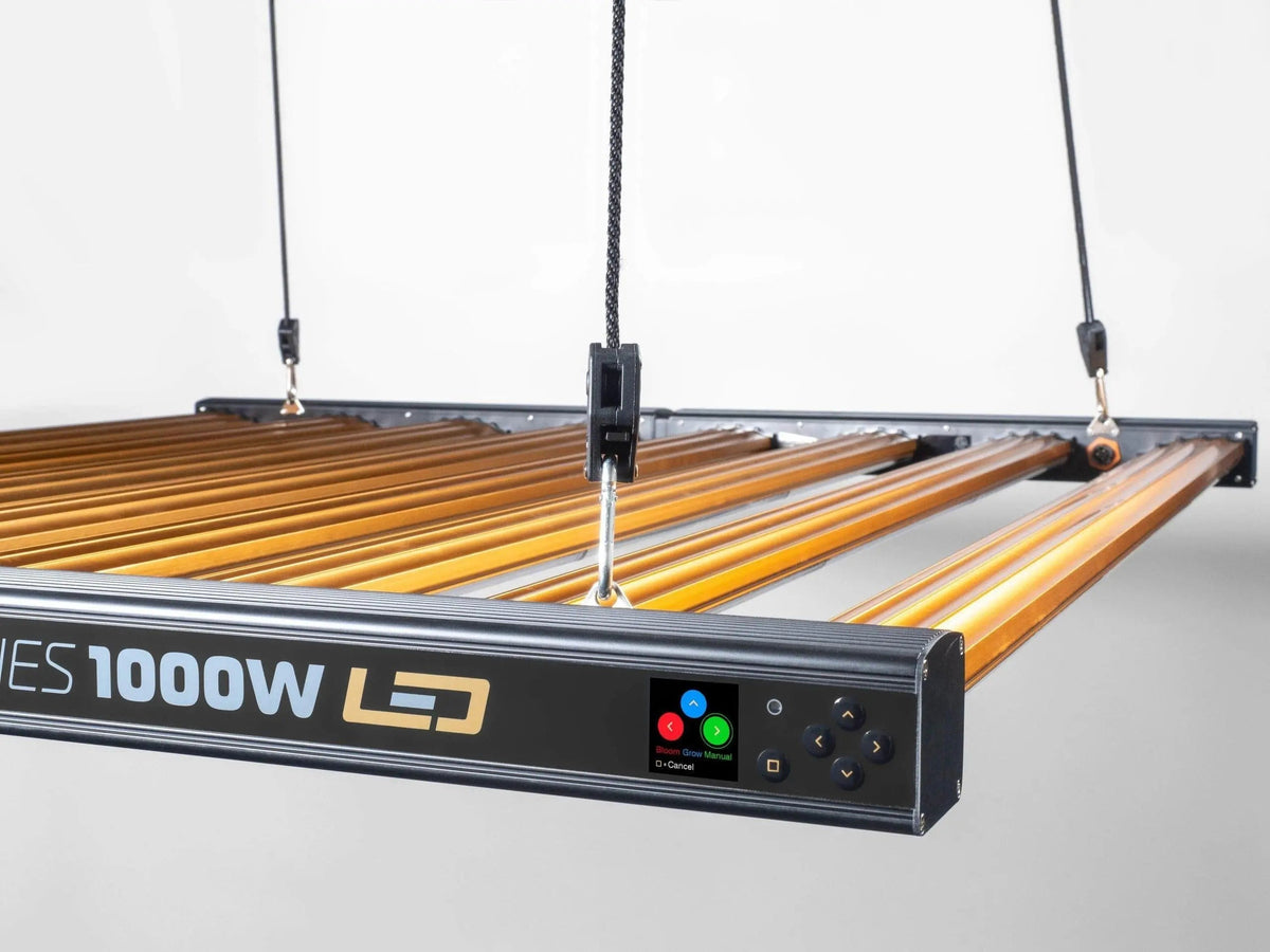 Dimlux Xtreme Series LED — the 1000W hanging on its ratchets, with the colour display and control buttons