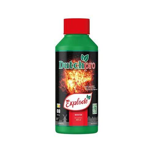 Dutch Pro Explode — 250ml