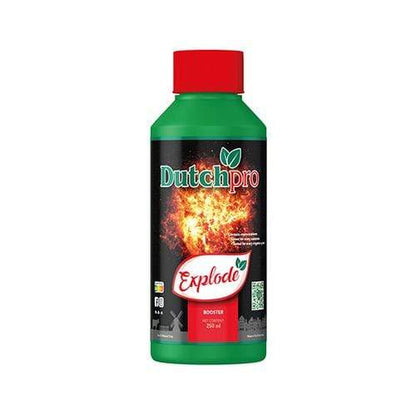Dutch Pro Explode — 250ml