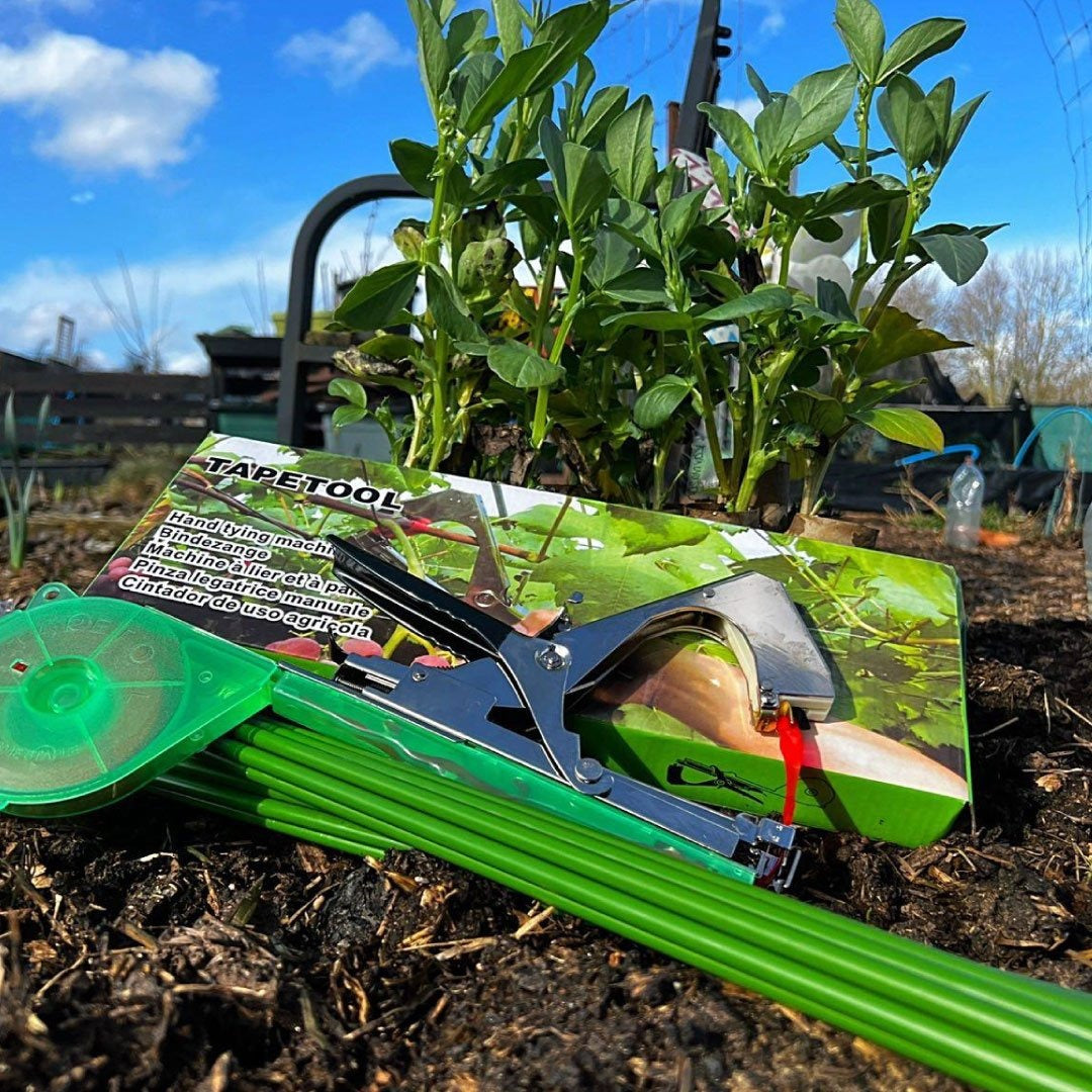 Easy Grow Plant Strapper with its box in a vegetable bed