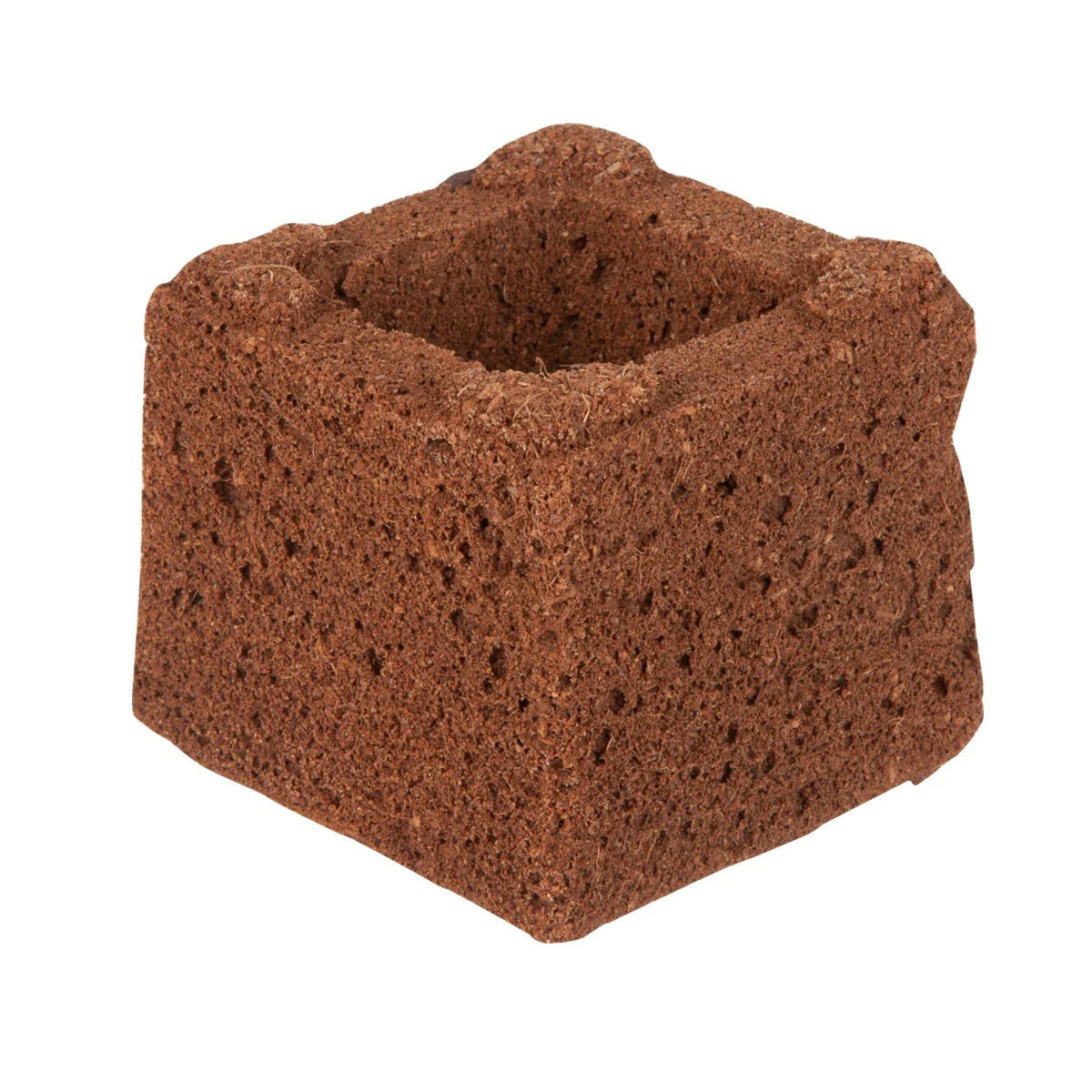 Eazy Block Propagation Block front view of the bonded organic substrate