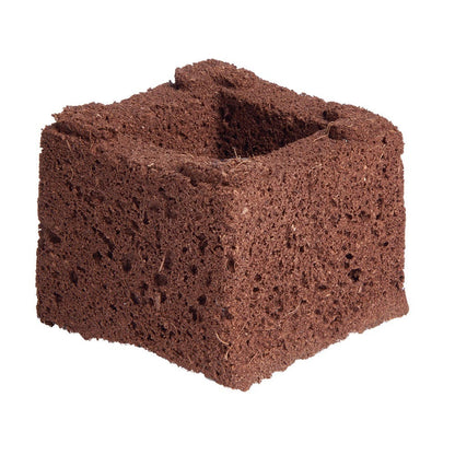 Eazy Block Propagation Block side view
