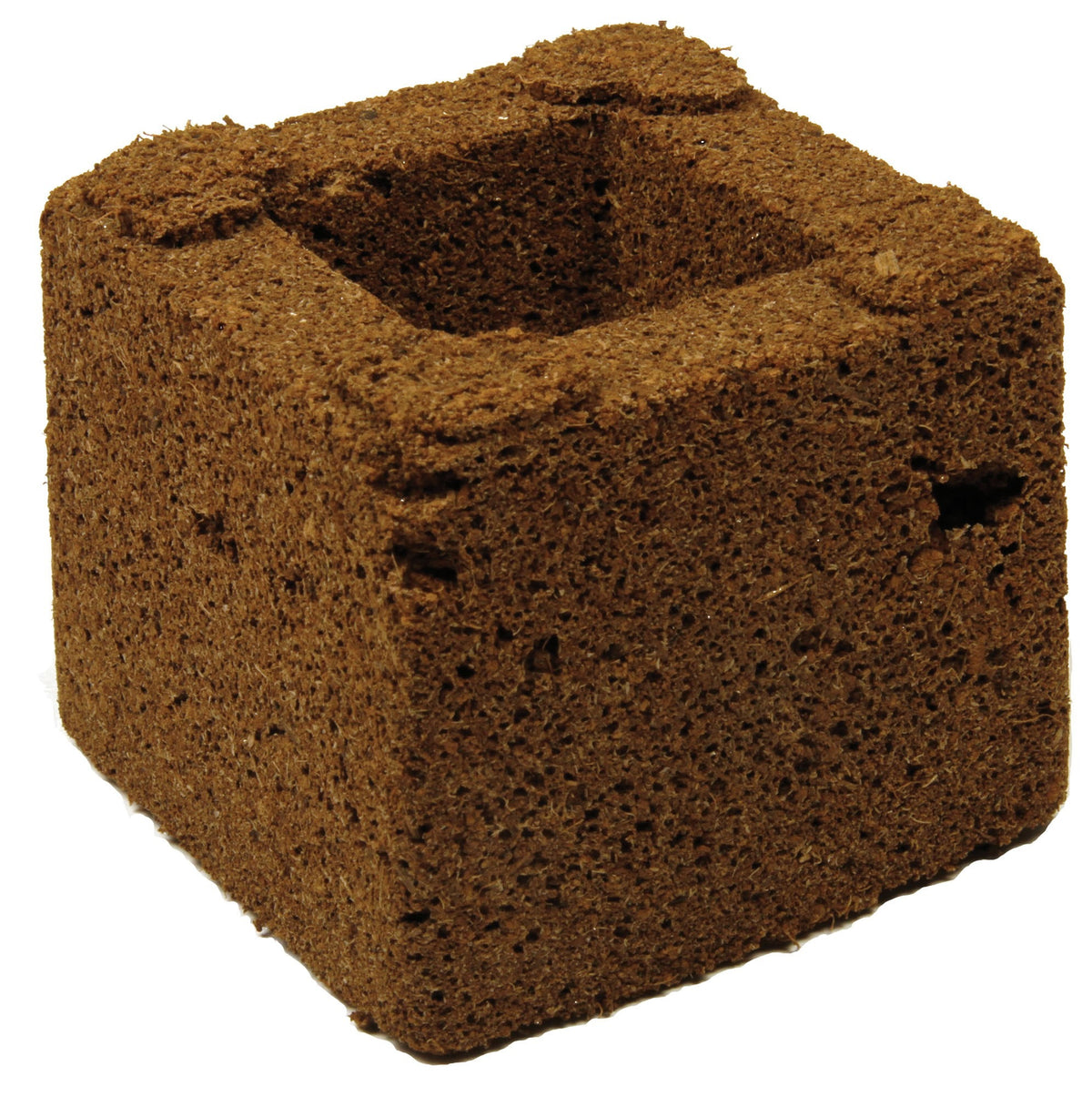 Eazy Block Propagation Block — Box of 160