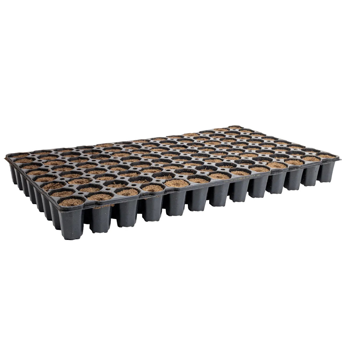 Eazy Plug Propagation Cubes — Tray x104 pcs (Box of 6)
