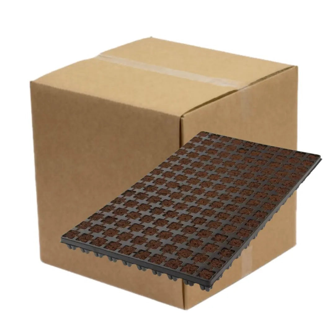 Eazy Plug Propagation Cubes — Tray x150 pcs (Box of 10)