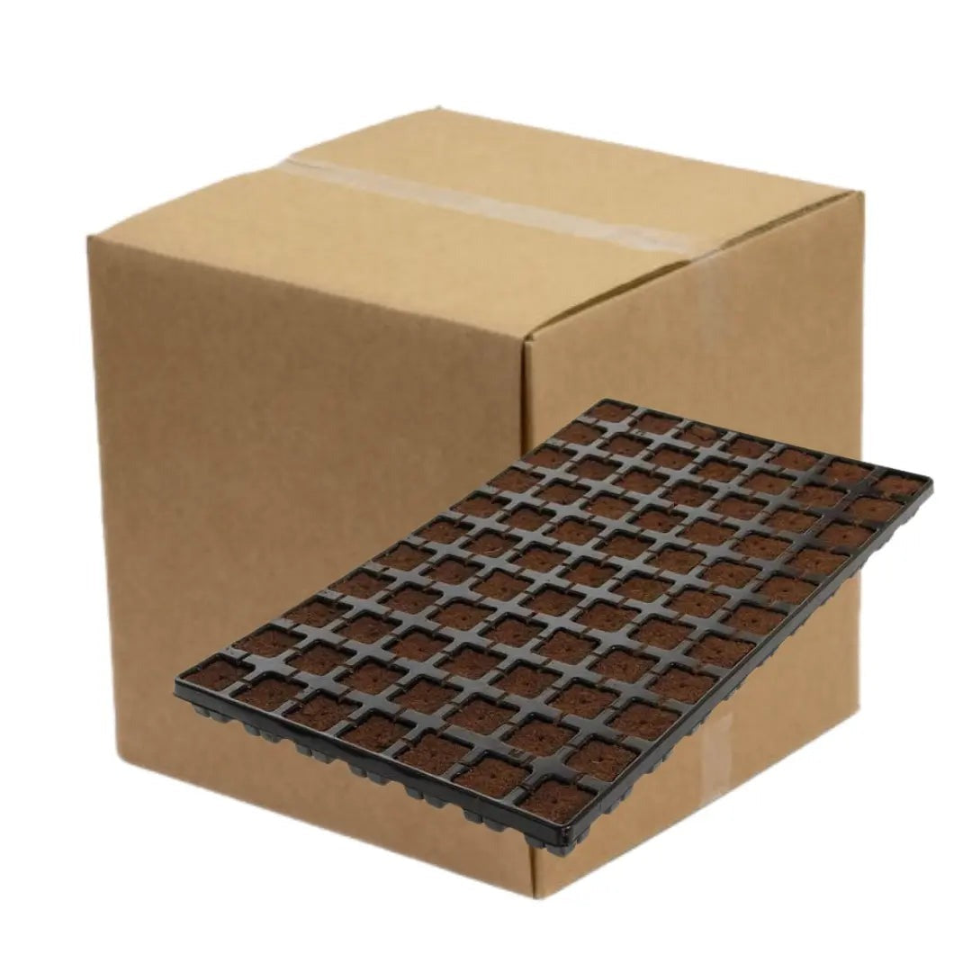 Eazy Plug Propagation Cubes — Tray x77 pcs (Box of 10)