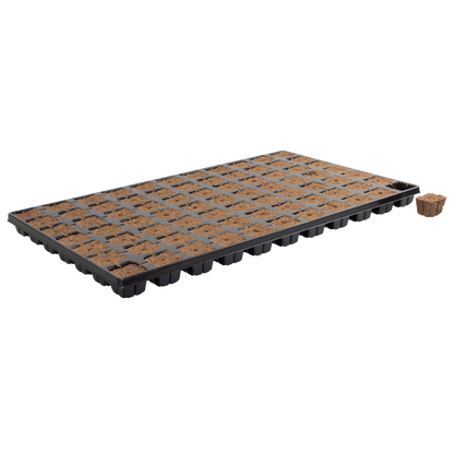 Eazy Plug Propagation Cubes — Tray x77 pcs