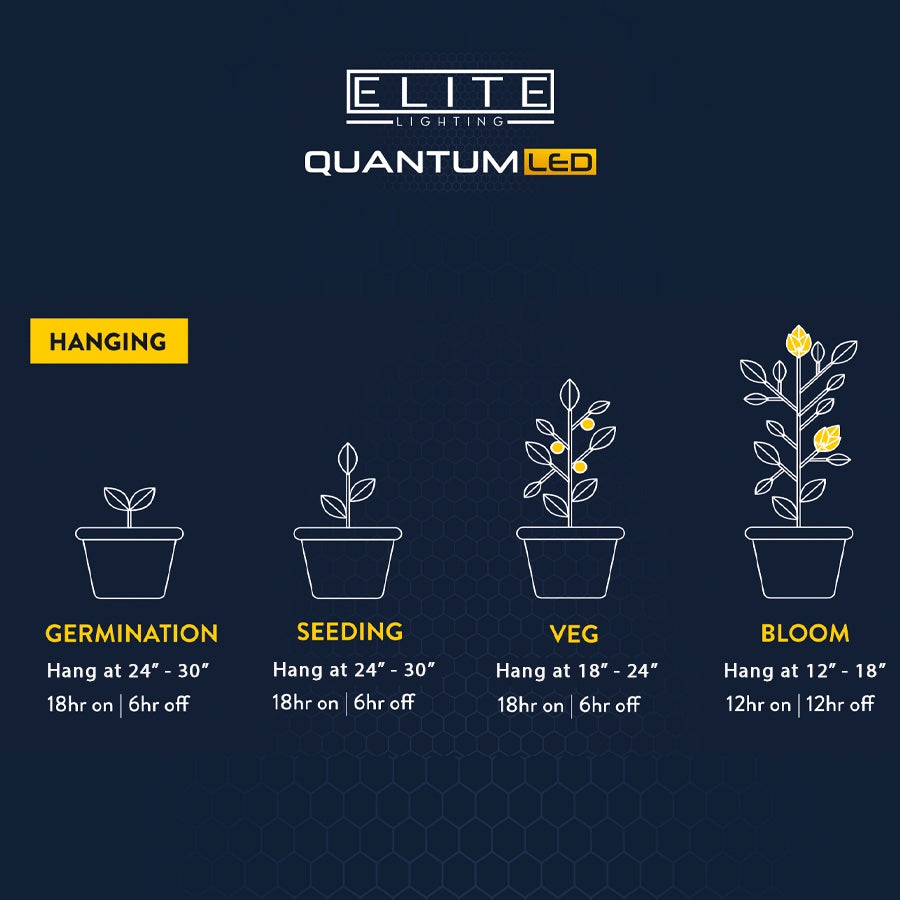 Elite Quantum LED Grow Light Panel hanging heights and light schedule for each growth stage