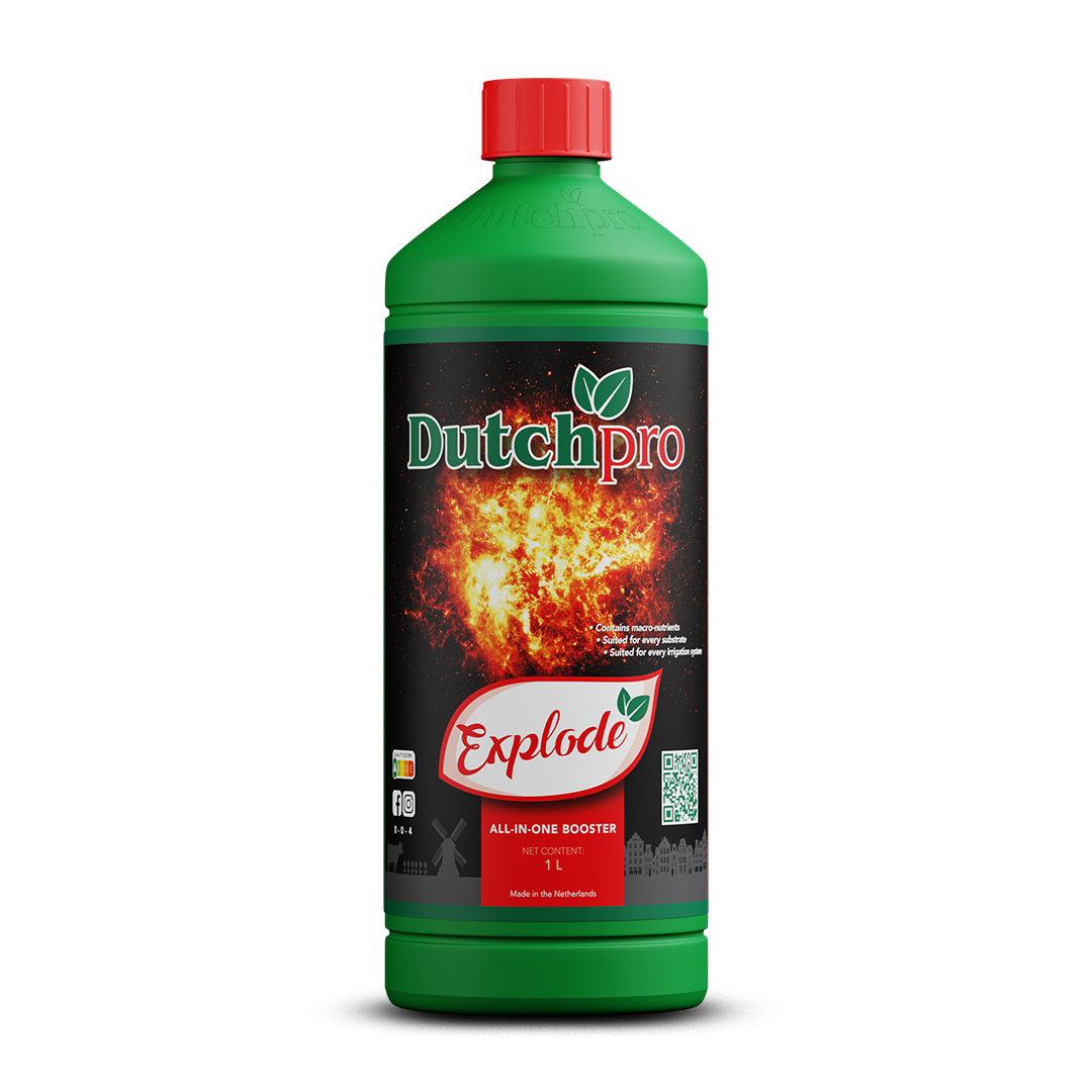 Dutch Pro Explode