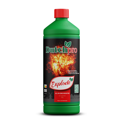 Dutch Pro Explode