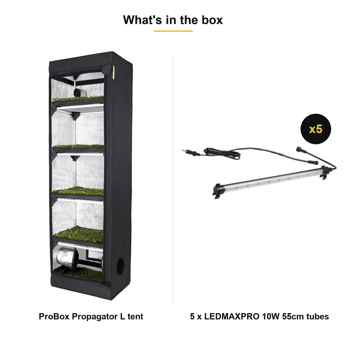 Garden HighPro ProBox Propagator Tent — L (60 x 40 x 200cm) / With LEDMAXPRO Lights
