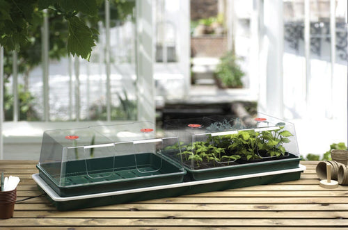 Garland Jumbo Professional Propagator, official manufacturer product photo