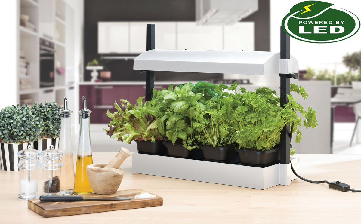 Garland Micro Grow Light Garden lifestyle shot showing the compact single-tray LED light garden