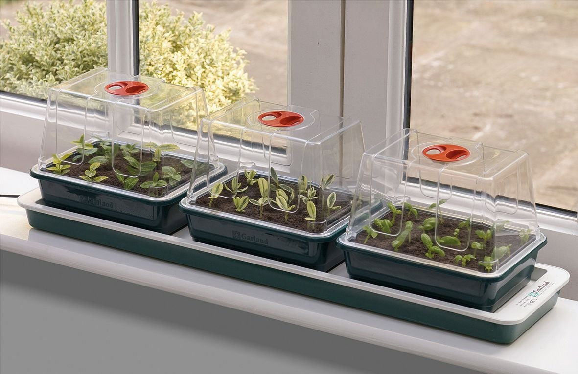 Garland Trio Top Propagator, official manufacturer product photo