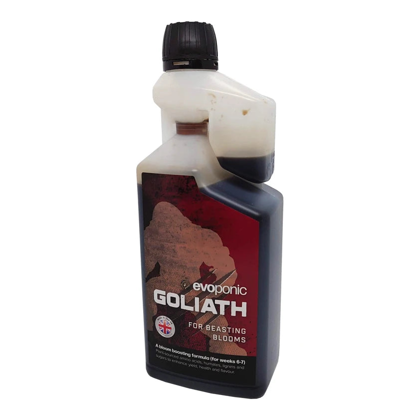 Goliath