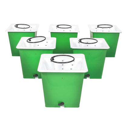 Green Man Combi Kit Pot Package — 6 Pot Package