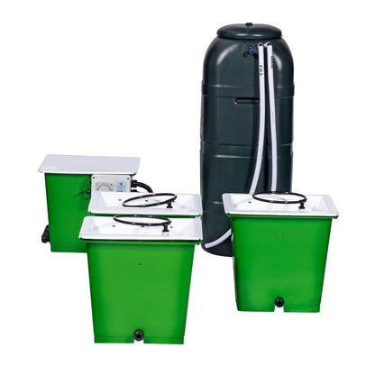 Green Man Combi System — 3 Pot / Rigid Tank