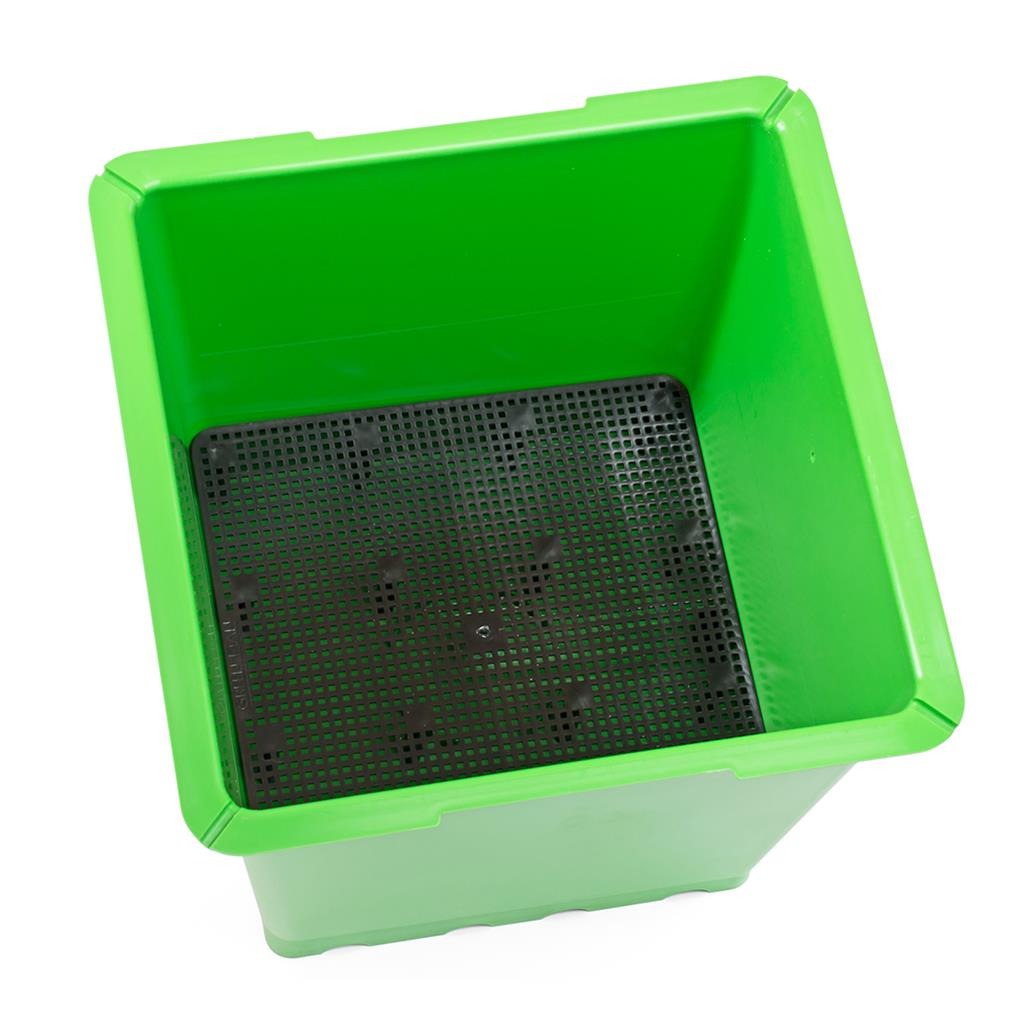 Green Man FD Flood and Drain System FD pot with substrate tray fitted