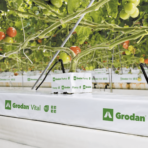 Grodan Vital Rockwool Slab for Precision Hydroponic Growing