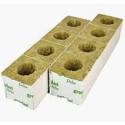 Grodan Rockwool Blocks for Cuttings and Seedlings