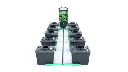 Alien RDWC 10 Pot 36L Black Series