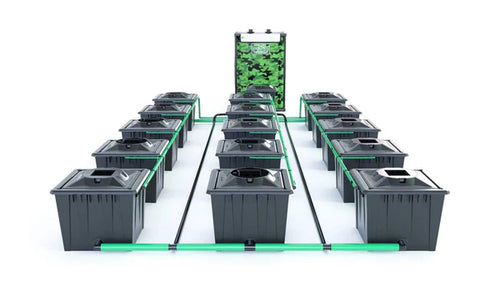 Alien RDWC 15 Pot 36L Black Series