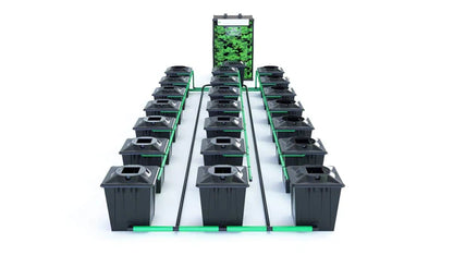 Alien RDWC 21 Pot 20L Black Series