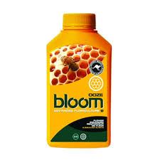 Bloom 'Yellow Bottles'