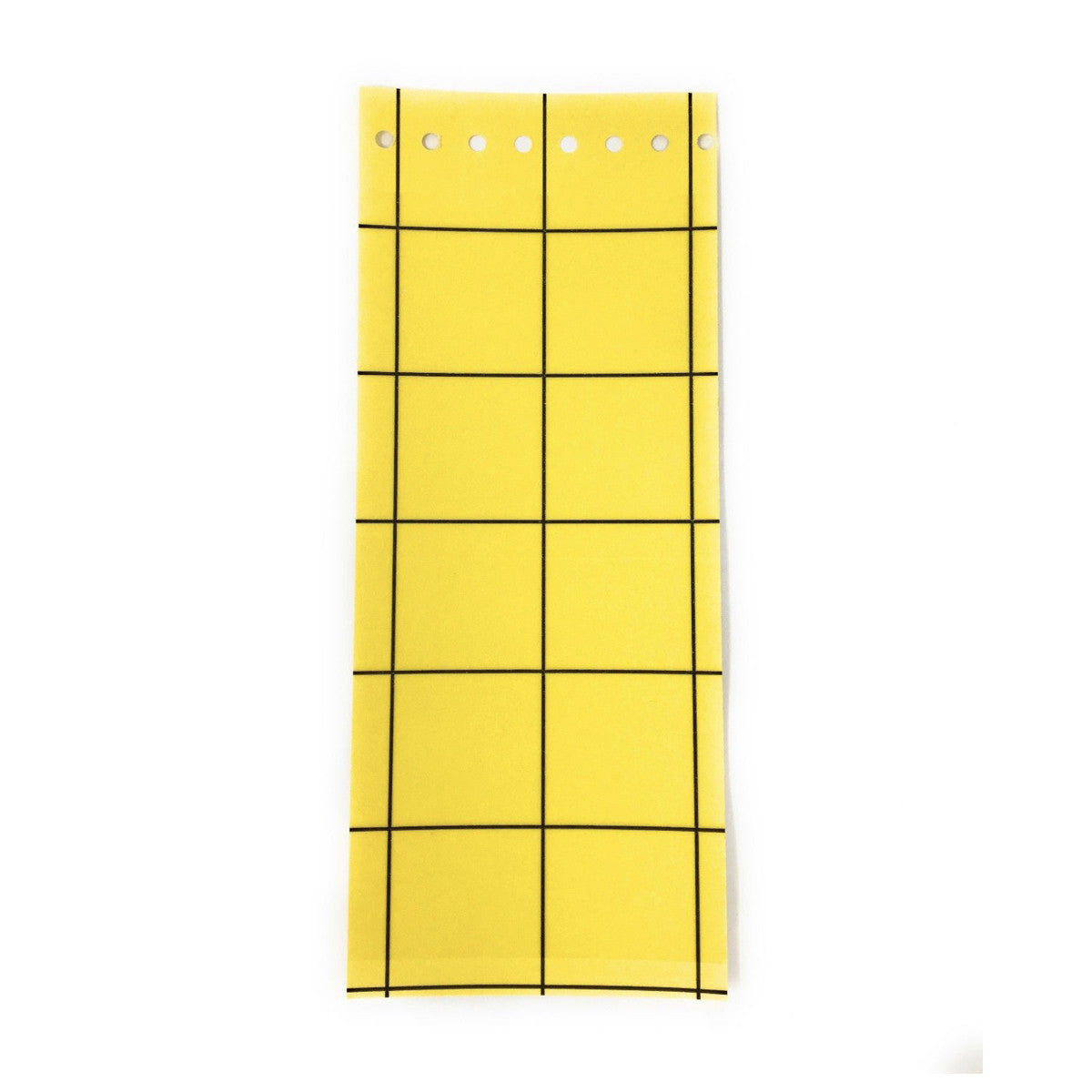 Yellow Sticky Insect Traps x6
