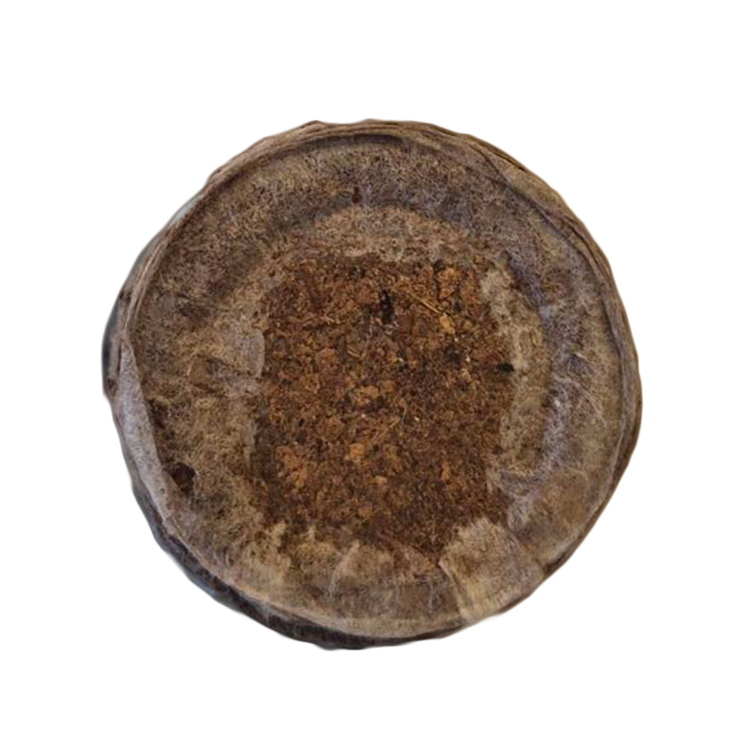 Jiffy-7C Coco Coir Propagation Plug, close-up of the pre-formed planting hole