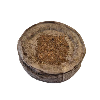 Jiffy-7C Coco Coir Propagation Plug, side view showing the plug's depth and netting