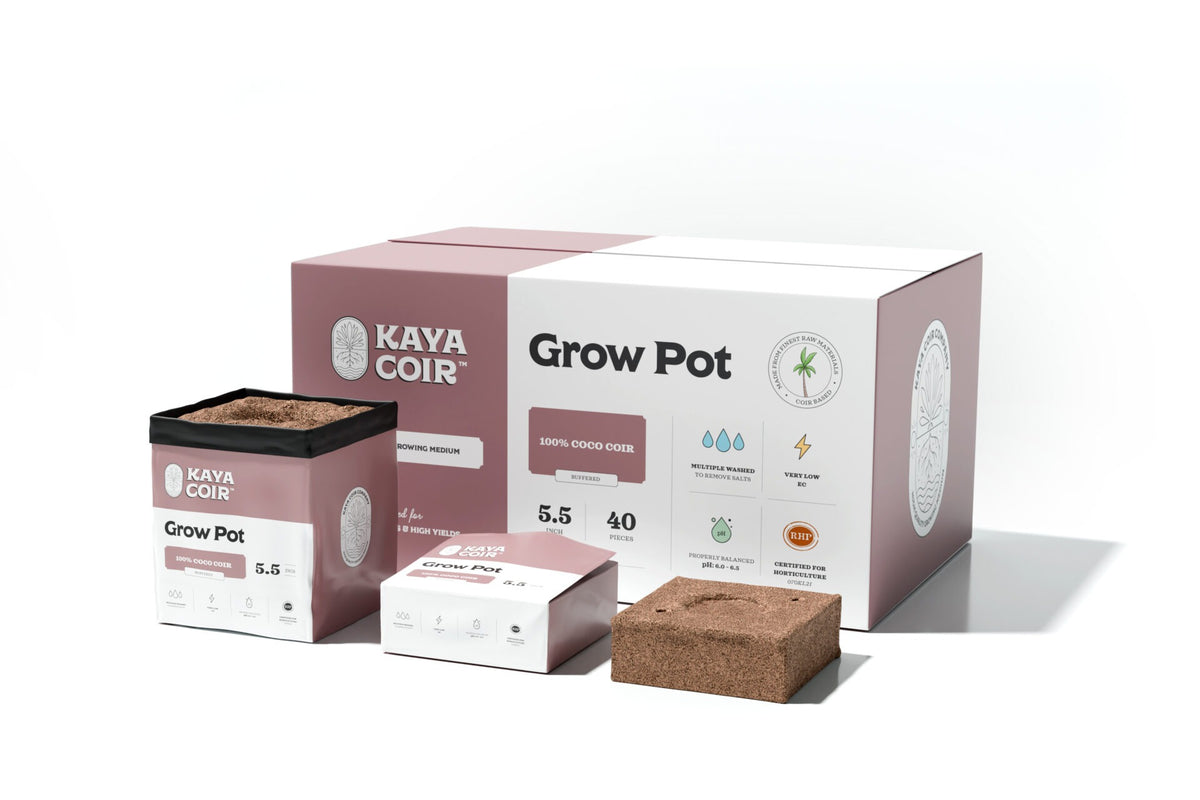 Kaya Coir Compressed Grow Pot — 5.5" (Box of 40)