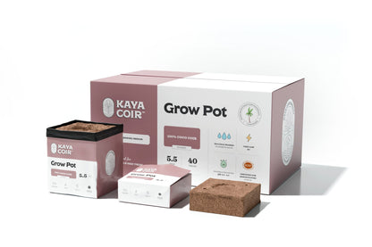 Kaya Coir Compressed Grow Pot — 5.5" (Box of 40)