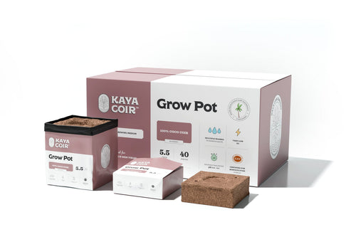 Kaya Coir Compressed Grow Pot — 5.5" (Box of 40)