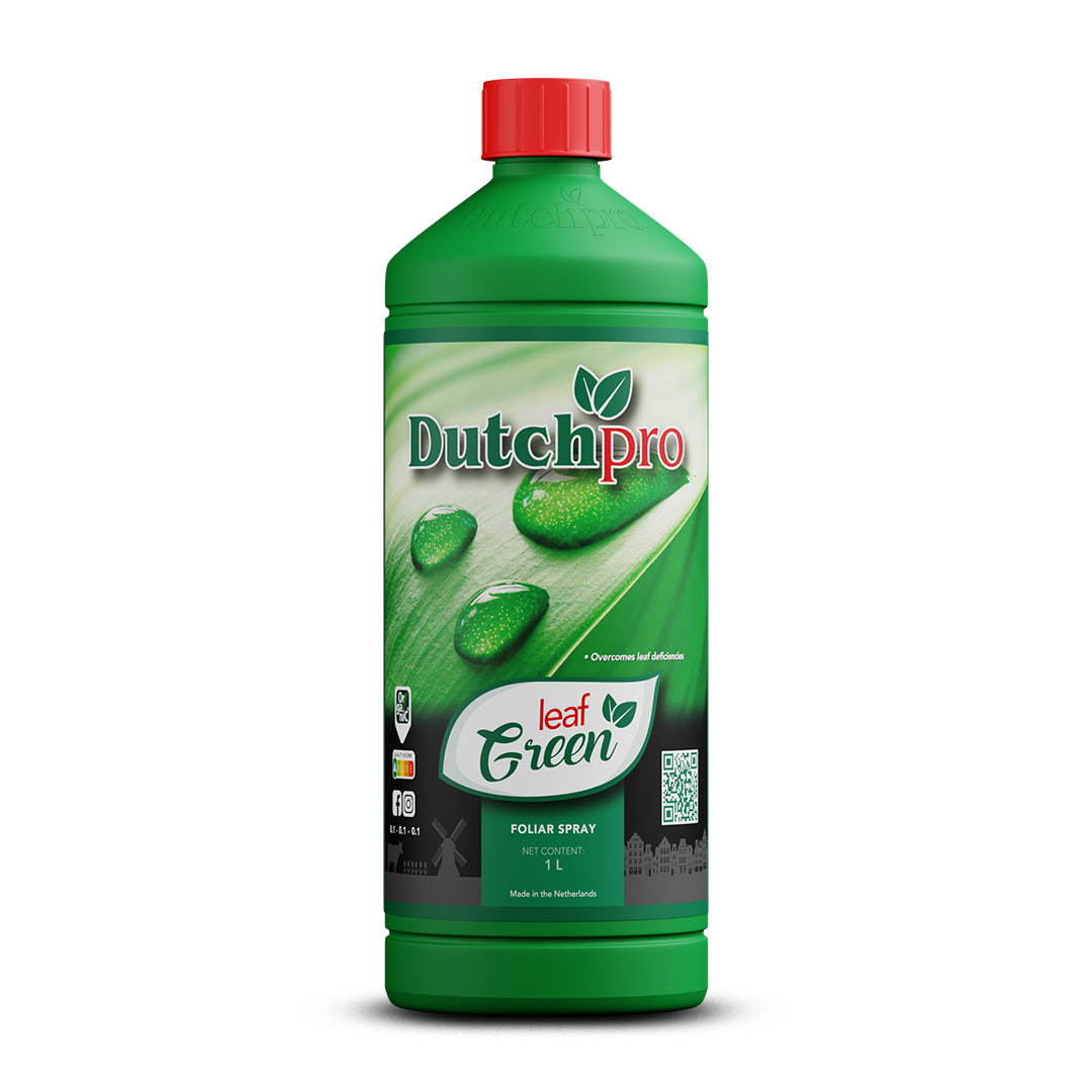 Dutch Pro Leaf Green