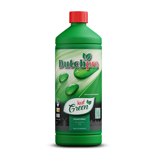 Dutch Pro Leaf Green
