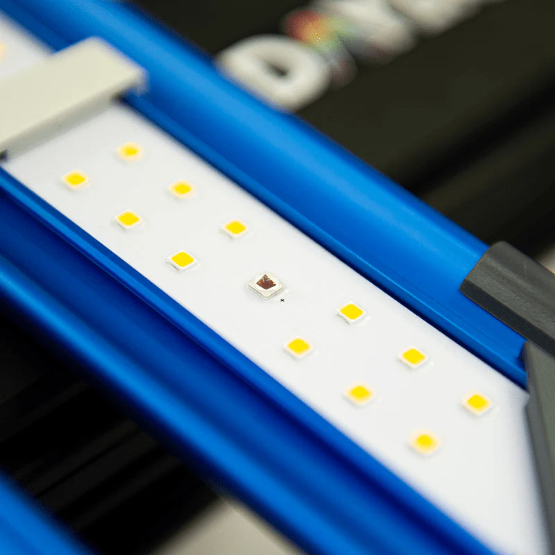 Maxibright Daylight 300W LED Grow Light | Standard & PRO