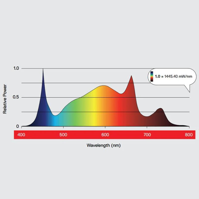 Maxibright Daylight 300W LED Grow Light | Standard & PRO