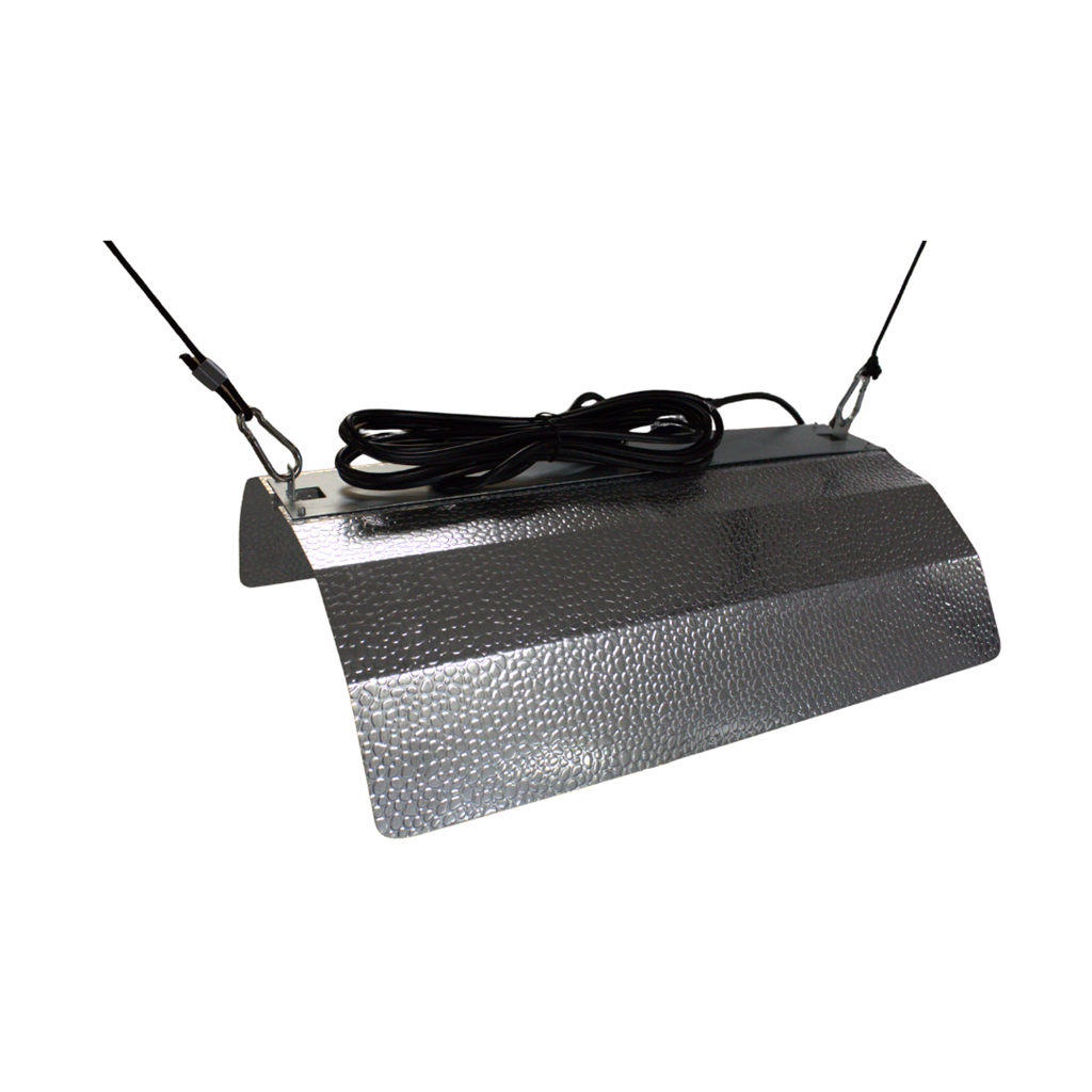 LUMii BLACK Reflector Box of 10