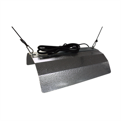 LUMii BLACK Reflector Box of 10