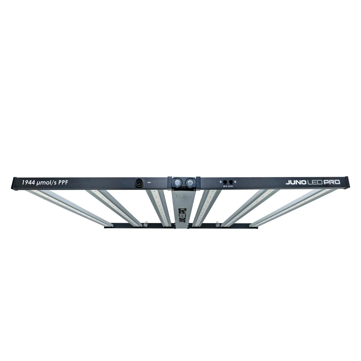 Maxibright Juno Pro 1944 LED fixture, front view showing the Maxibright and Juno LED Pro branding