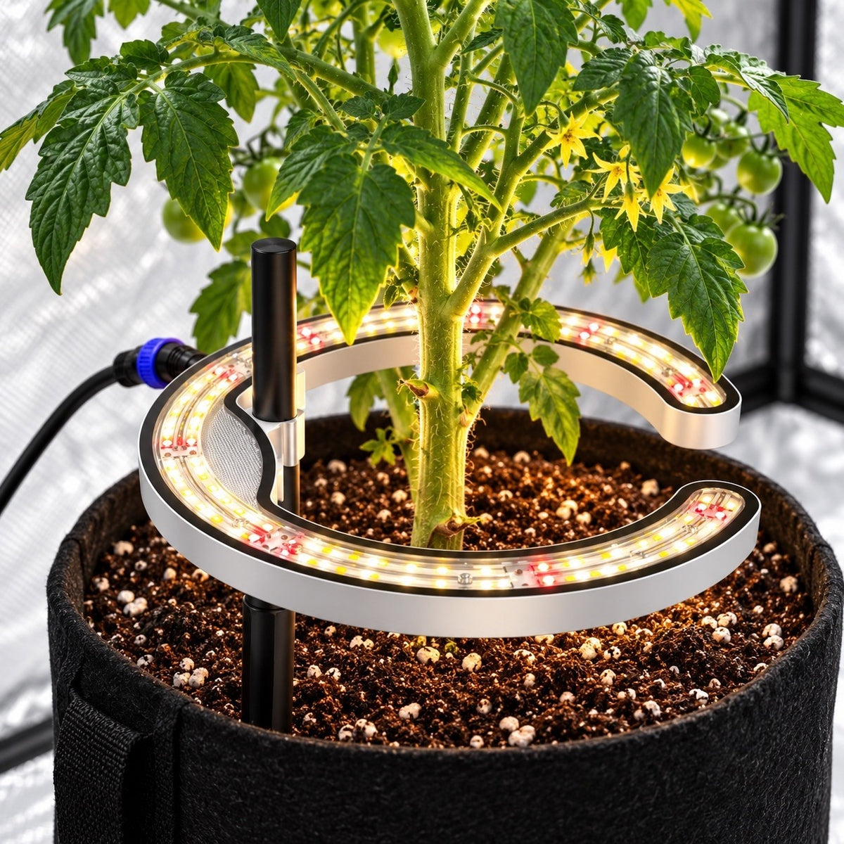 Maxibright MaxiLED PRO TS 40W around a plant