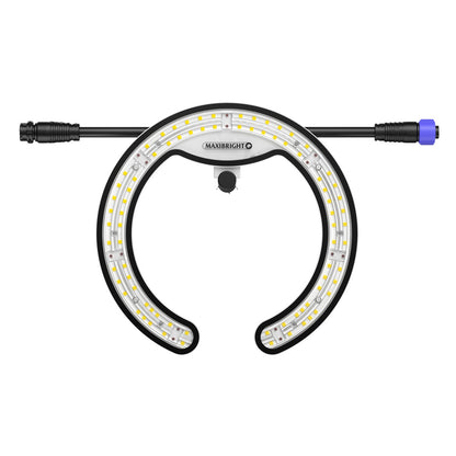 Maxibright MaxiLED PRO TS Cables — Extra Light (no power lead)