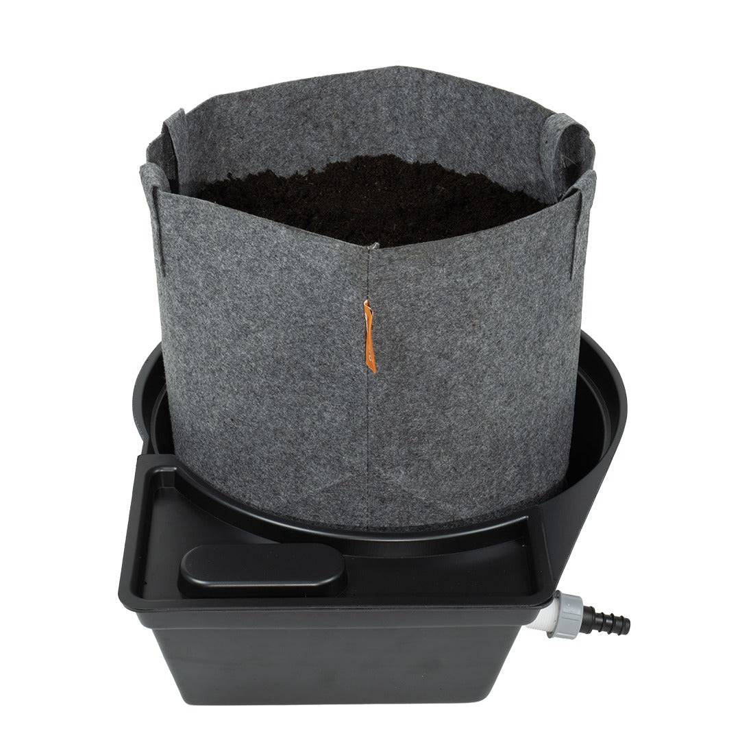 MegaPot Single Module — 22L